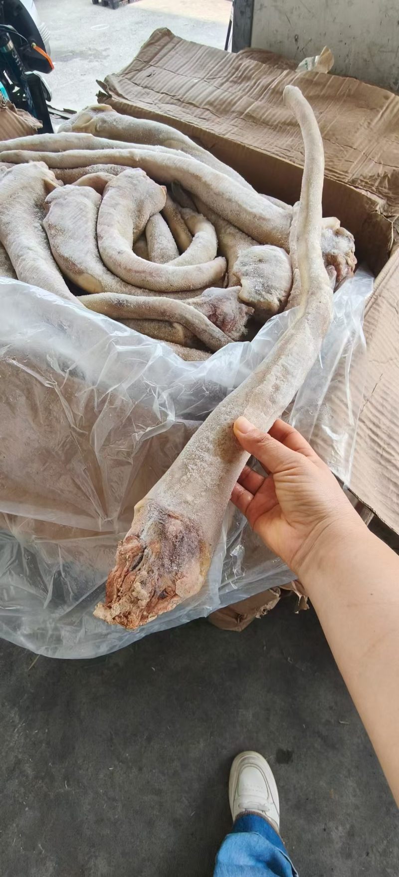 精修带皮牛尾