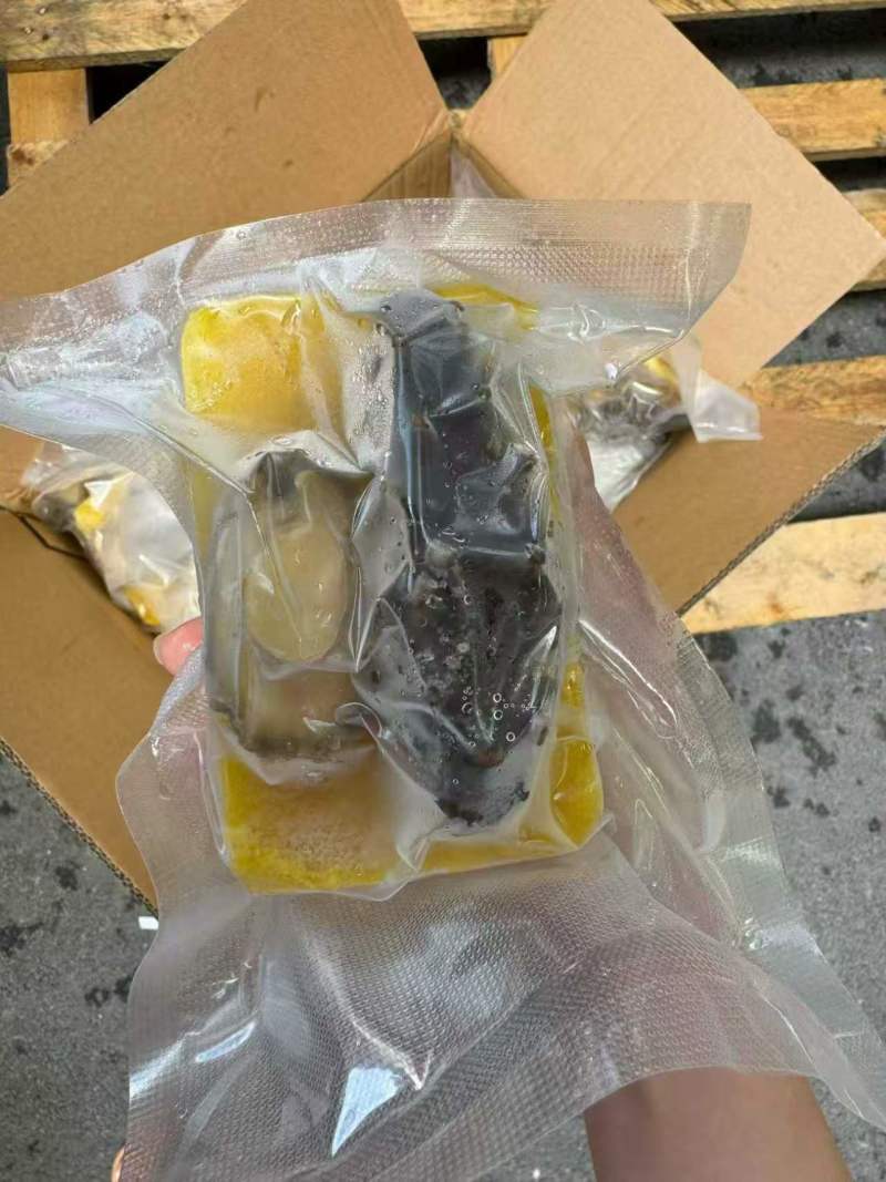 顶配佛跳墙方砖超大辽参大鲍鱼一包280G
