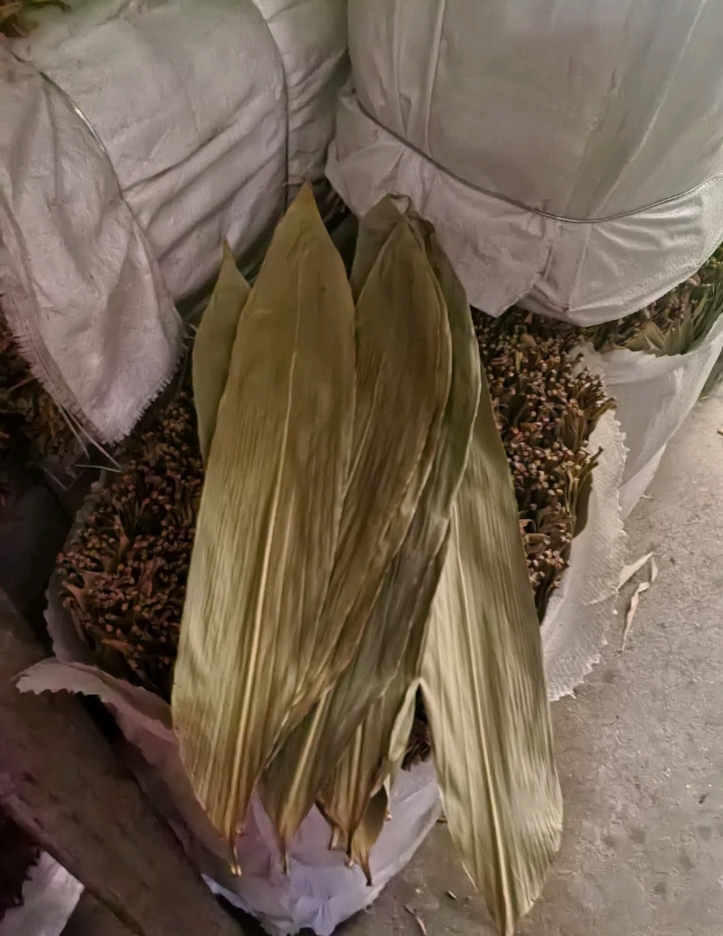 干粽叶干净无杂质今年新货品质好量大从优包粽子