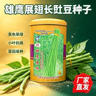 雄鹰展翅小叶豇豆种子早中熟抗病耐老化翠荚豆角种子采收期长