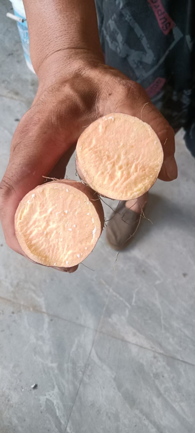 徐薯50