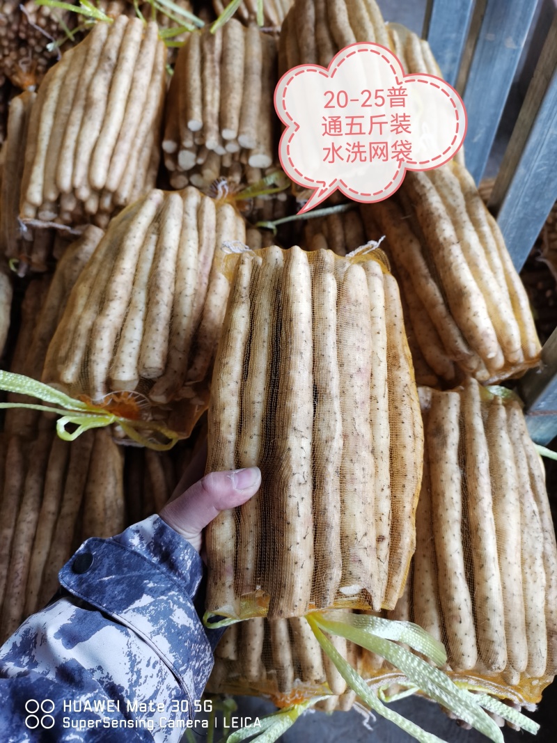 小白嘴山药，铁棍山药，双棒山药。产地直供