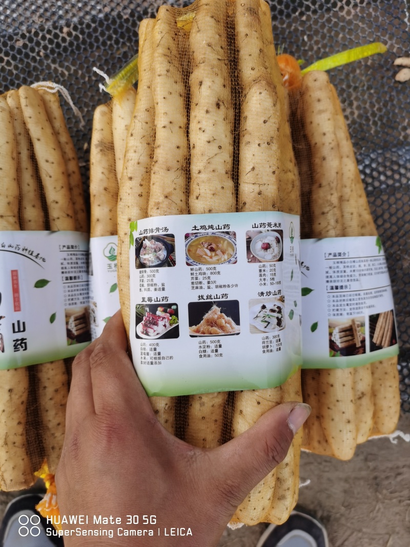 小白嘴山药，铁棍山药，双棒山药。产地直供
