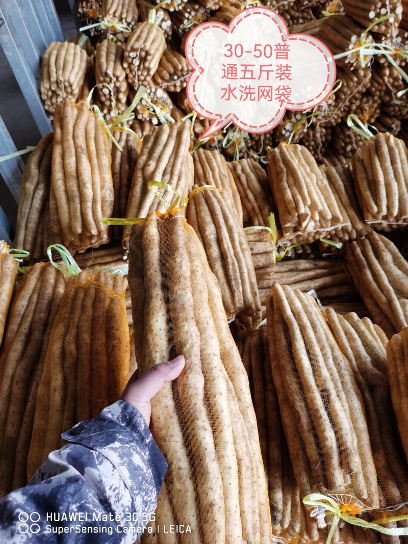 小白嘴山药，铁棍山药，双棒山药。产地直供