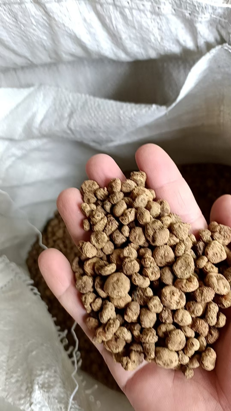 周口元胡品质保证诚信经营欢迎联系量大优惠