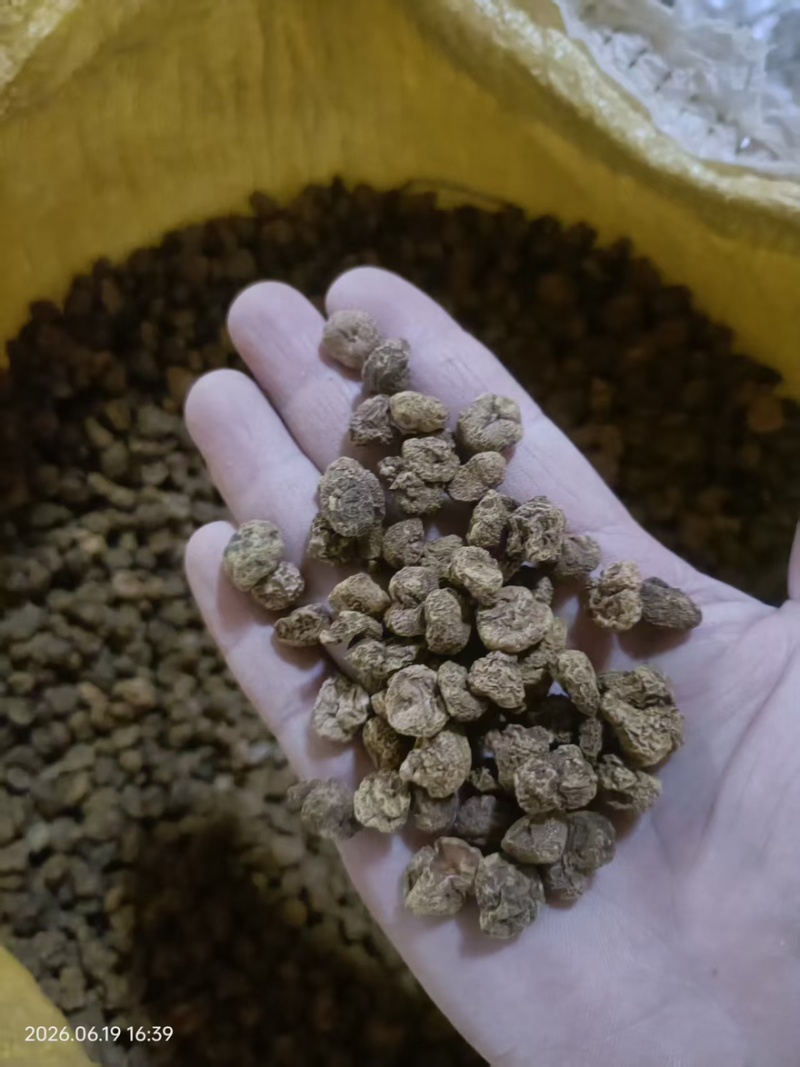 周口元胡品质保证诚信经营欢迎联系量大优惠