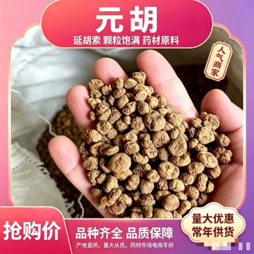 周口元胡品质保证诚信经营欢迎联系量大优惠