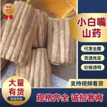 小白嘴，铁棍，双棒，山药产地直供，规格包装齐全，全年供应