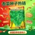 泰国四季耐抽苔芫荽香菜种子耐抽苔耐寒耐热抗病香味浓厚生长