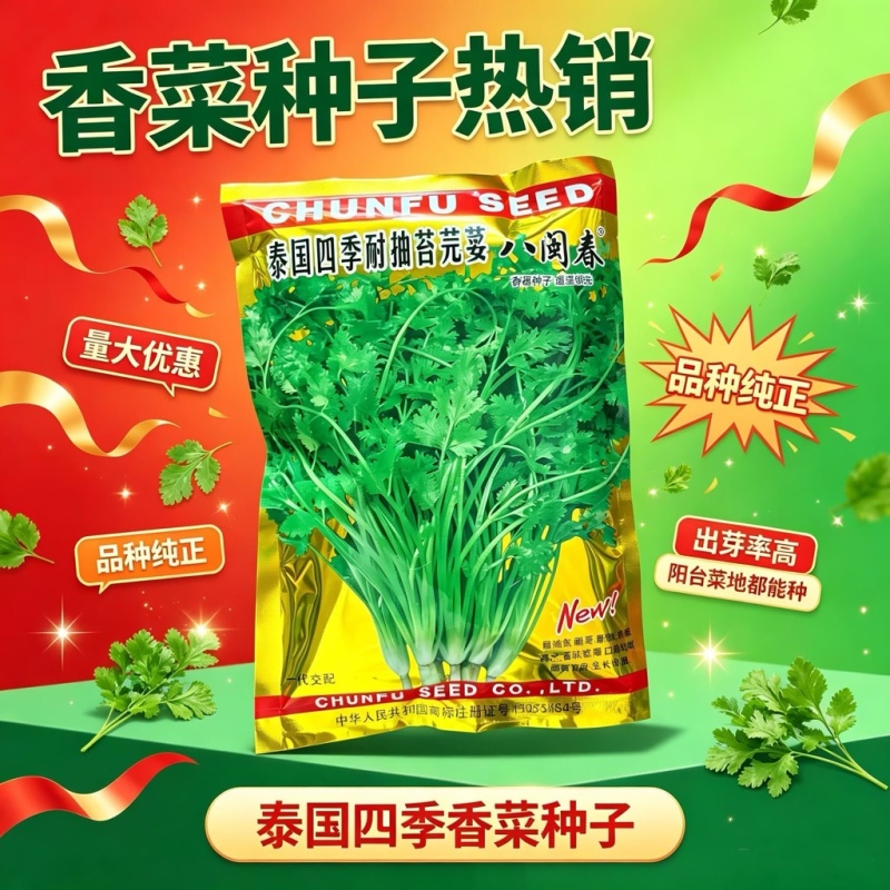 泰国四季耐抽苔芫荽香菜种子耐抽苔耐寒耐热抗病香味浓厚生长