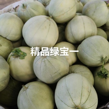 头茬绿宝甜瓜大量现货