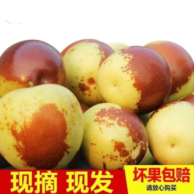 脆甜多汁鲜冬枣基地一站式供应链对接电商网红社区配送