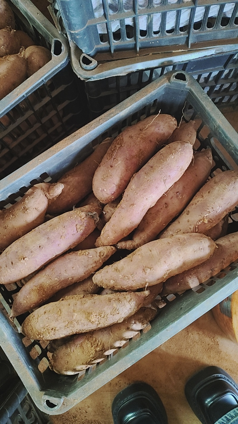 榴莲蜜薯