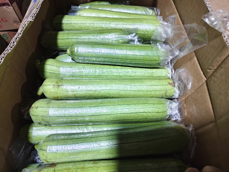 油丝瓜，多种规格，货不多，来抢吧