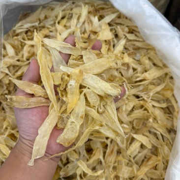 豆仁胶豆仁公豆仁胶系列，鱼胶花胶，酒店会所自留