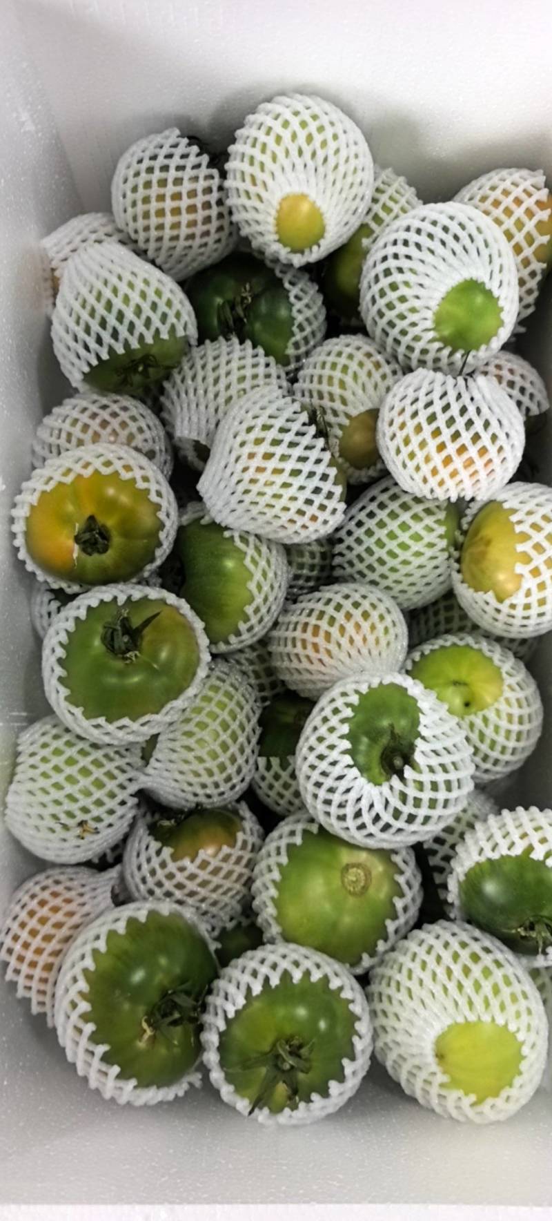 草莓番茄