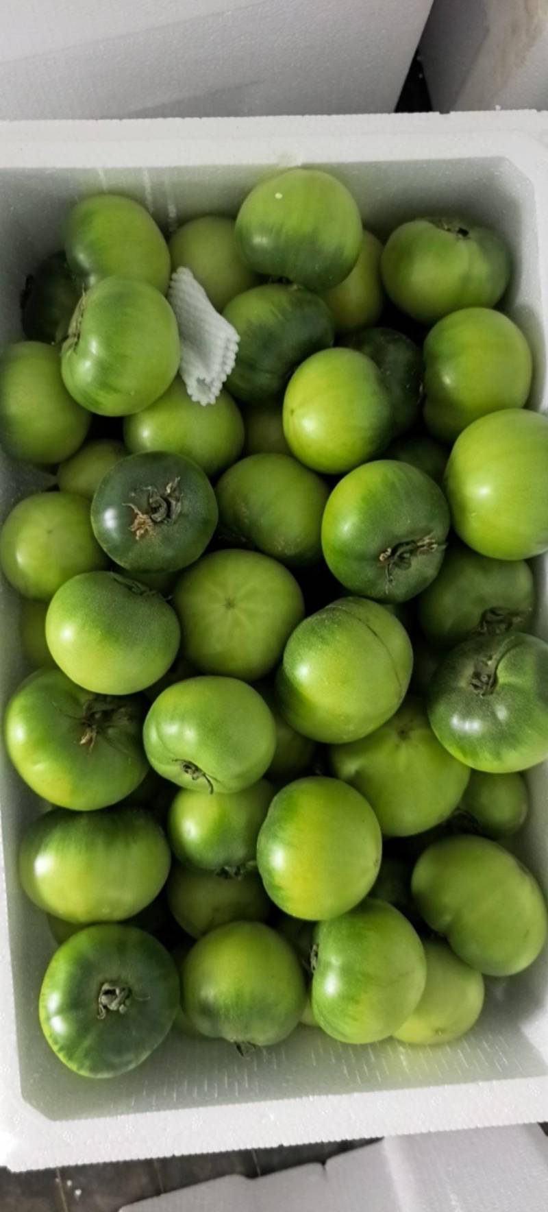 草莓番茄