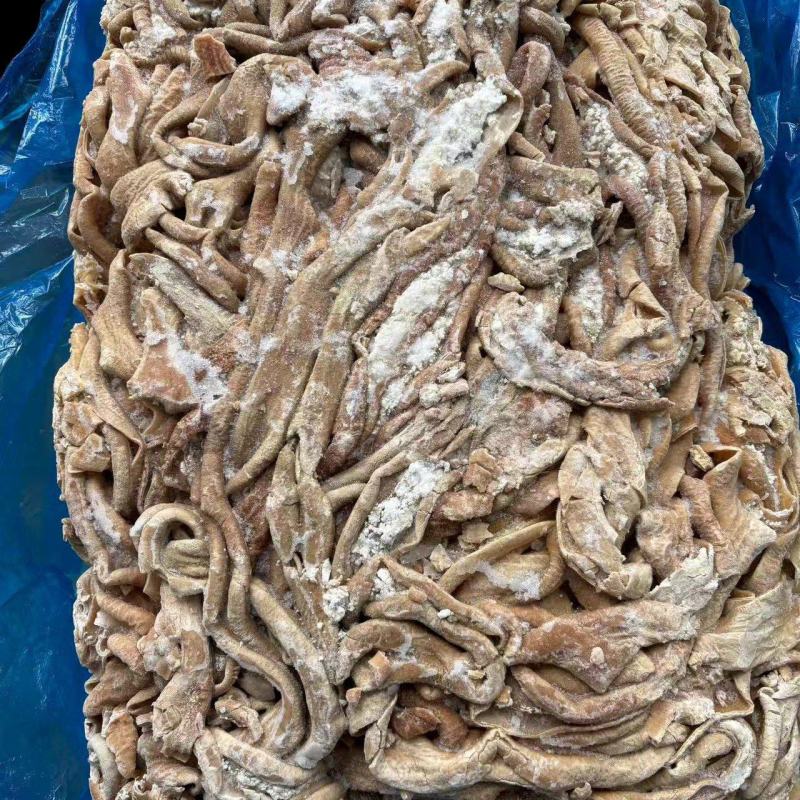 熟牛小肠