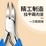 指甲剪鹰嘴钳甲沟专用修脚趾甲神器单个人尖嘴斜口家用套装护