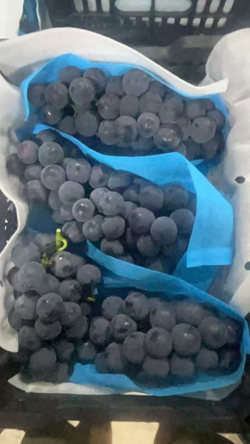 葡萄毛5净4酸甜口