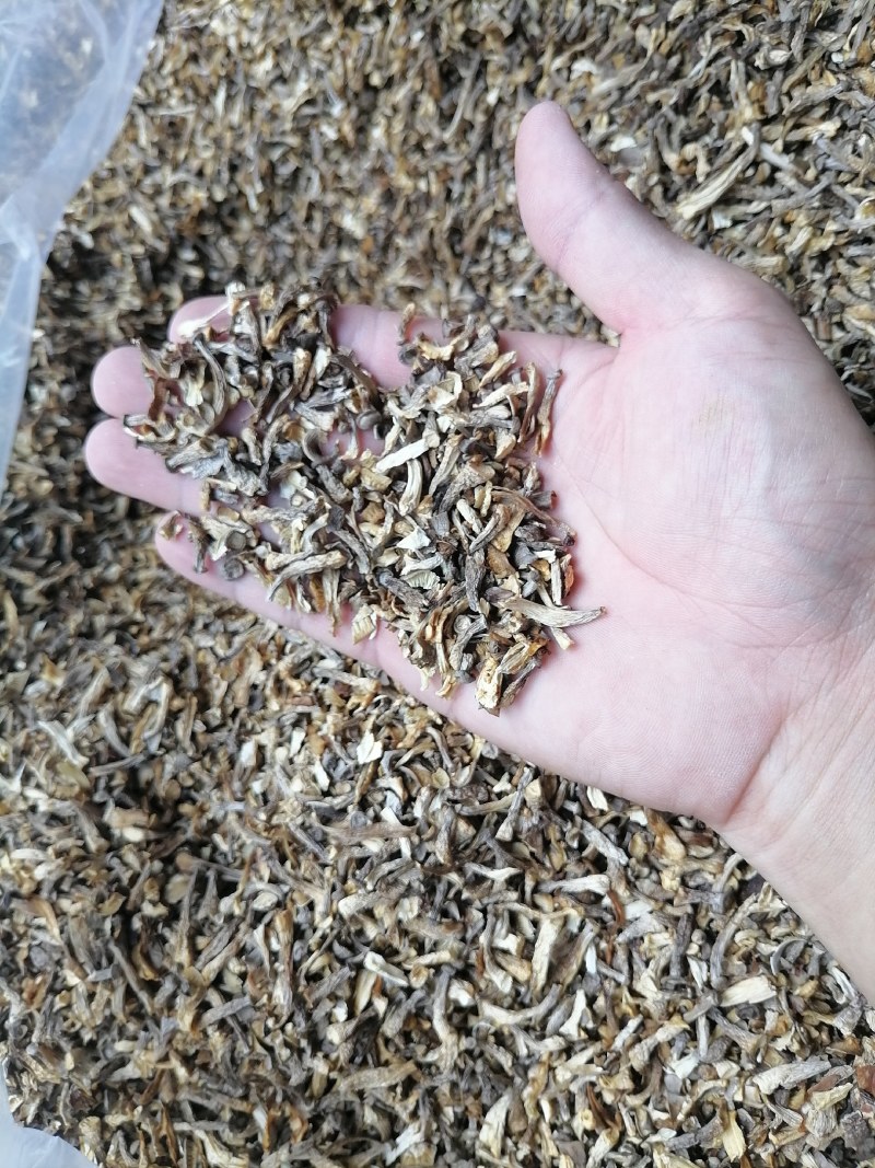 鹿茸菇碎菇，碎鹿茸菇，鹿茸菇碎片，便宜鹿茸菇