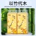 木迹悬挂式抽纸家庭实用挂壁耐用纸巾厕所卫生间擦手纸柔软纸