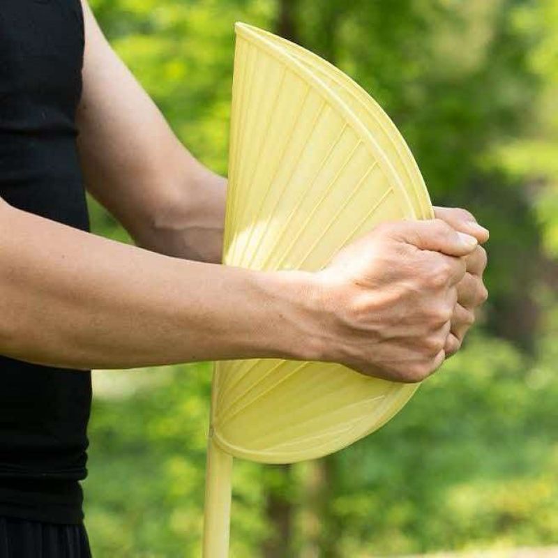 新款蒲扇大芭蕉扇子老式家用济公扇葵扇夏季舞蹈烧烤蒲扇子