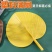 新款蒲扇大芭蕉扇子老式家用济公扇葵扇夏季舞蹈烧烤蒲扇子