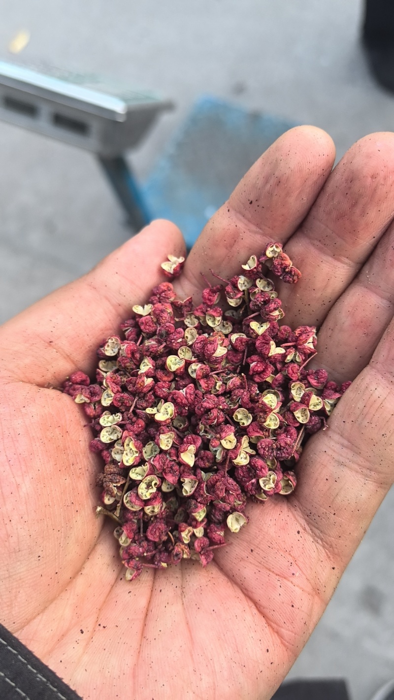 武都花椒