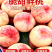 精品鲜桃大量上市，久保、十四号