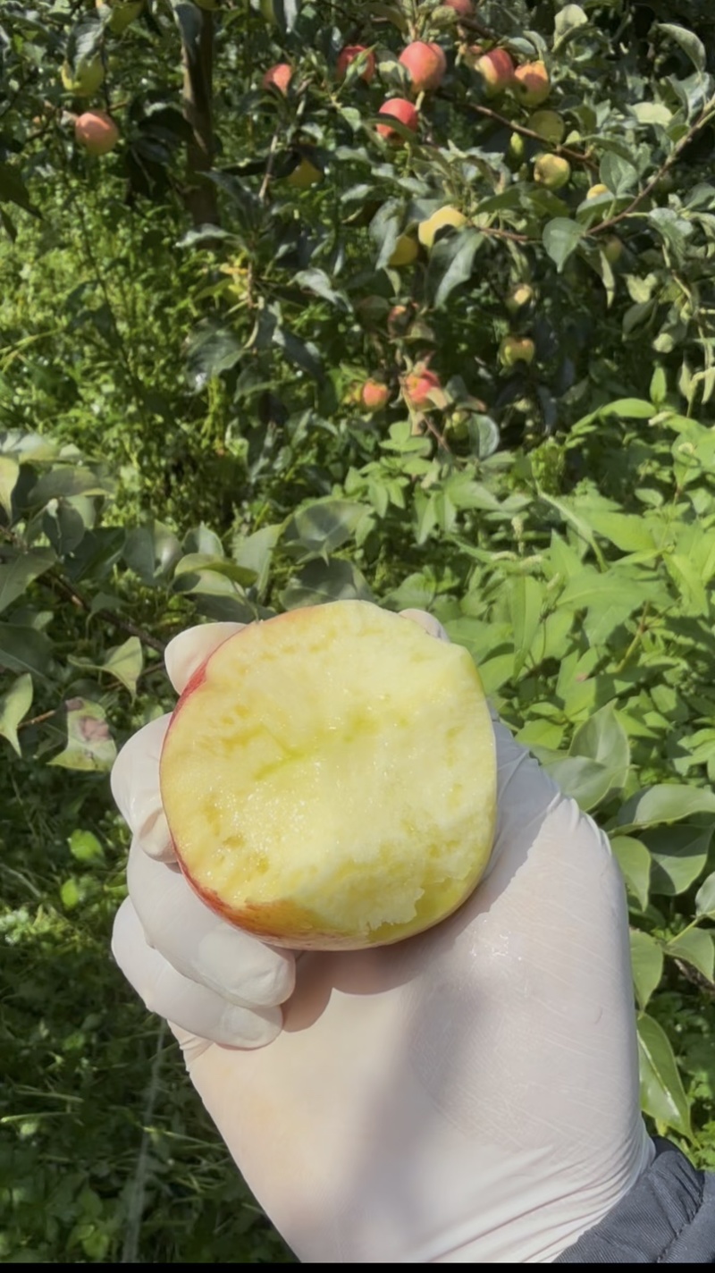 苹果通货
