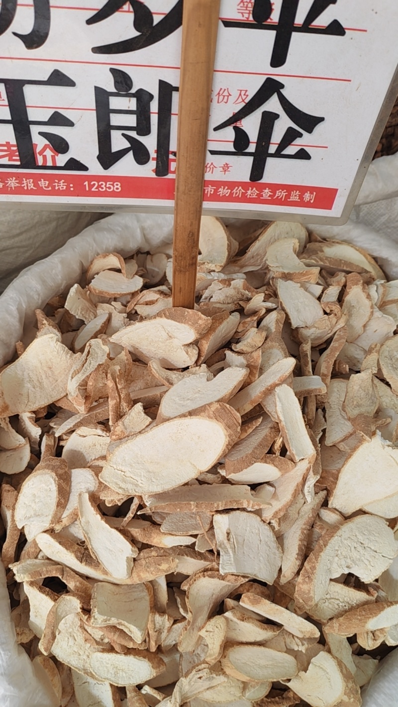 中药材大罗伞，玉郎伞，大凉伞