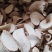 中药材大罗伞，玉郎伞，大凉伞