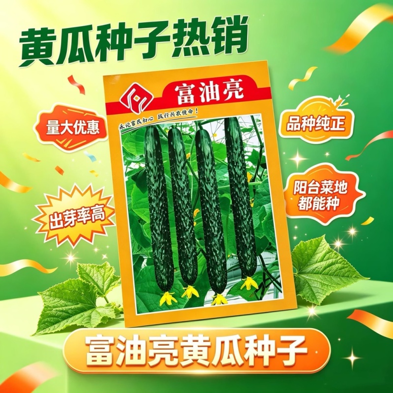 富油亮黄瓜种子短把密刺黄瓜种子刺瘤明显瓜色深绿油亮绿肉