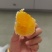 云南大山里的百花土蜂蜜