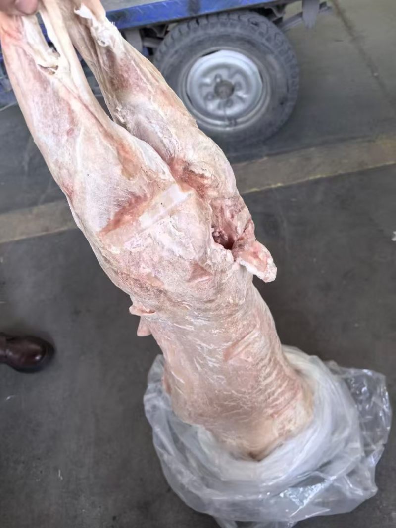 内蒙直条羊，全国发货