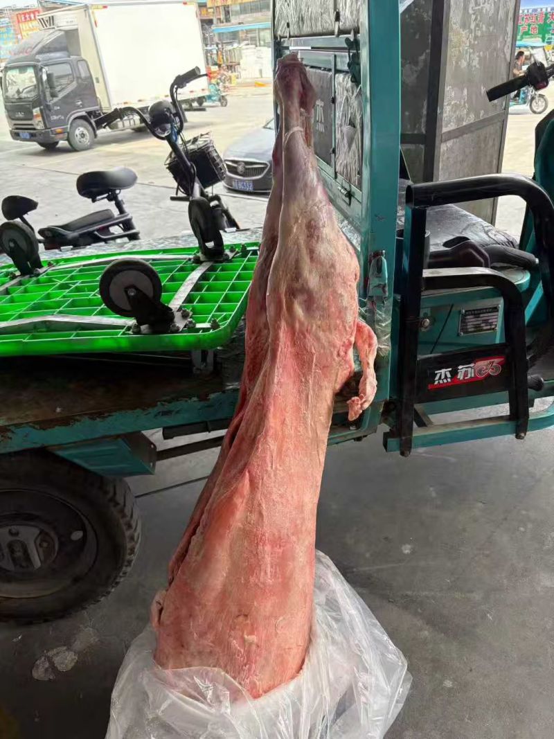 河北直条羊，全国发货，量大优惠