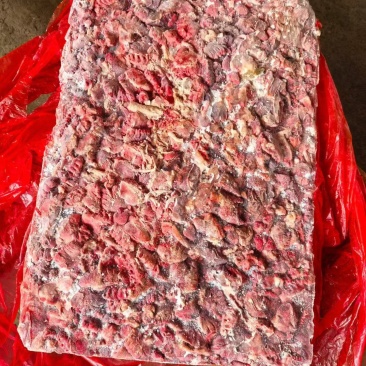 鹅肺价格美丽货源充足欢迎咨询来电优