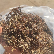 二茬毛木耳丝螺蛳粉火锅干货毛木耳木耳
