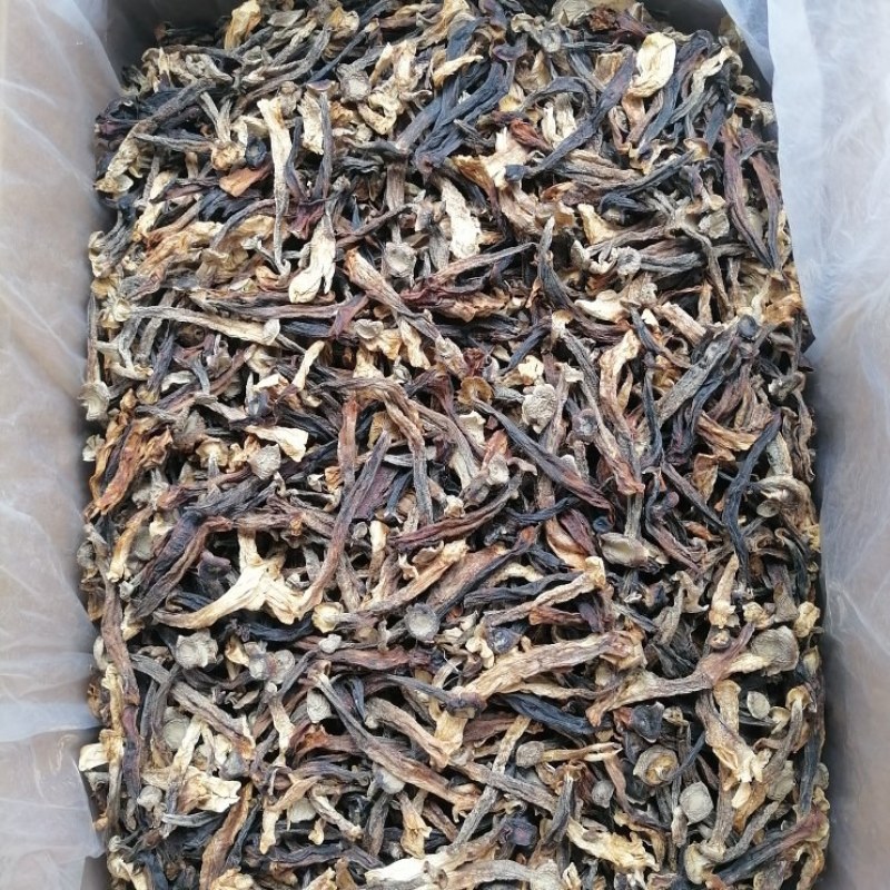 低价鹿茸菇，水菇，便宜鹿茸菇，跑色鹿茸菇，变色鹿茸菇
