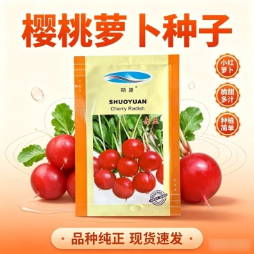 赤玉樱桃番茄种子早熟小型萝卜种籽红皮白肉耐糠心不裂球