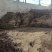 发酵鸭粪