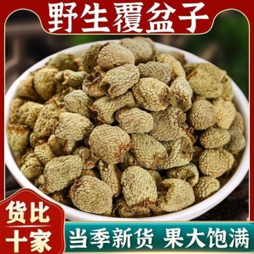 浙江覆盆子选货过筛