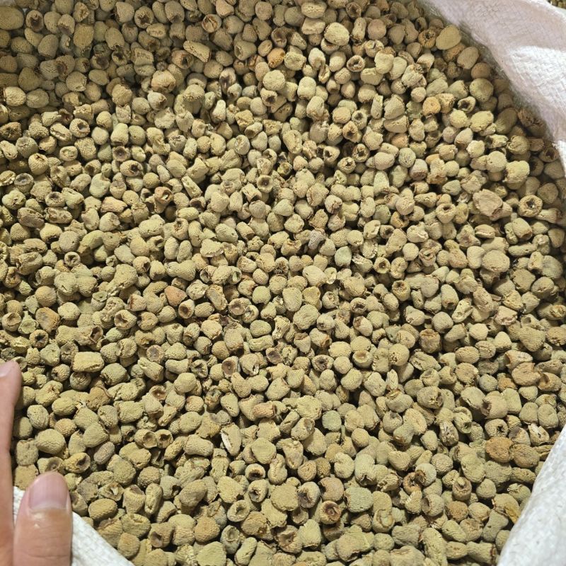 浙江覆盆子选货过筛