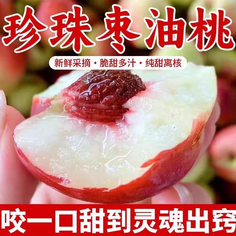 一件代发珍珠枣油桃电商批发商超连锁，全国发货