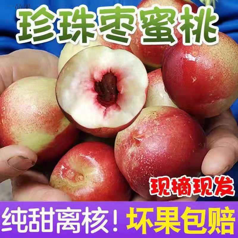 一件代发珍珠枣油桃电商批发商超连锁，全国发货