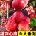 一件代发珍珠枣油桃电商批发商超连锁,全国发货