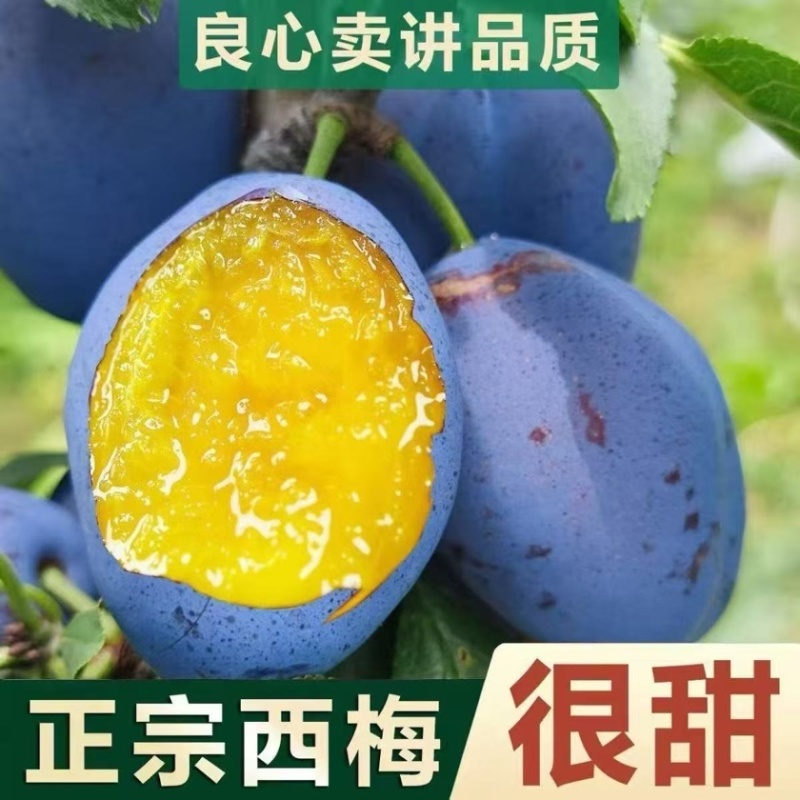 陕西西梅，产地直发，批多多淘宝，电商商超连锁一件代发