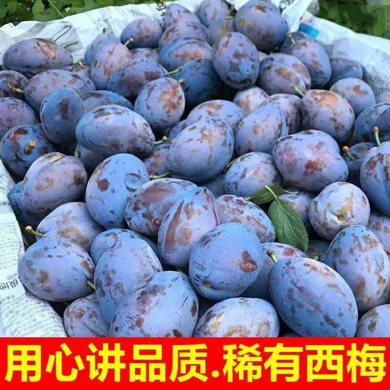 陕西西梅，产地直发，批多多淘宝，电商商超连锁一件代发