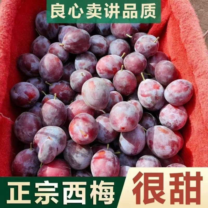 陕西西梅，产地直发，批多多淘宝，电商商超连锁一件代发